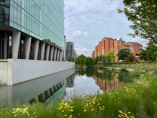 Reflection of buildings by a calm waterway, with greenery along the banks.