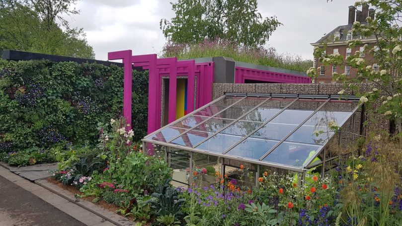 Modern garden with a vibrant pink structure and a glass greenhouse surrounded by flowers.