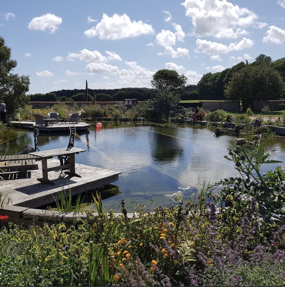 Serene garden scene featuring a pond, wooden deck, and vibrant flowers under a blue sky.