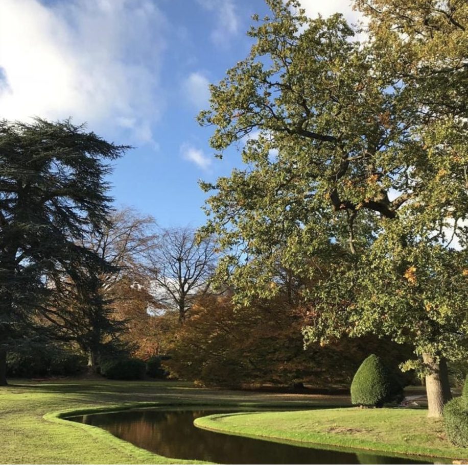 A lush green garden with a winding stream and autumn trees under a blue sky.